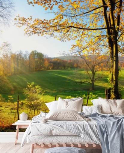 green and orange forest wallpaper mural called Autumn Pathways for kitchens, offices and businesses