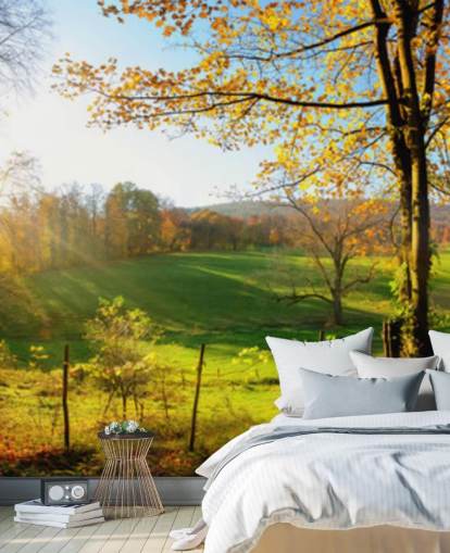 behangmuurschildering in groen en oranje bos genaamd Autumn Pathways voor keukens, kantoren en bedrijven