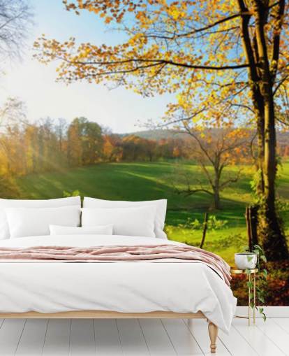 green and orange forest wallpaper mural called Autumn Pathways for kitchens, offices and businesses