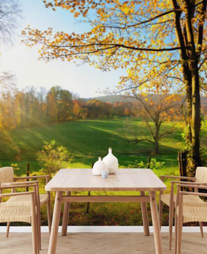 vihreä ja oranssi metsätaustakuvamaalaus nimeltä Autumn Pathways keittiöihin, toimistoihin ja yrityksiin