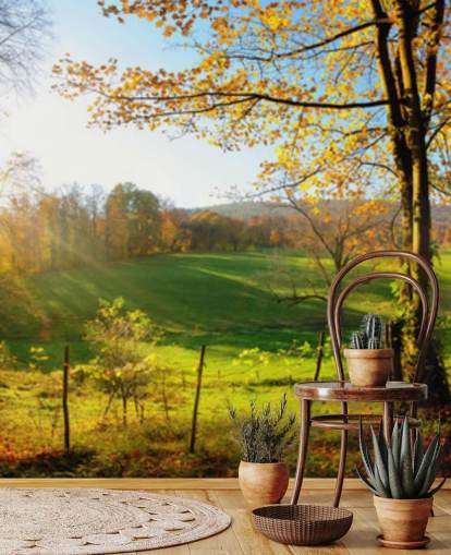 grüne und orangefarbene Waldtapete namens Autumn Pathways für Küchen, Büros und Unternehmen