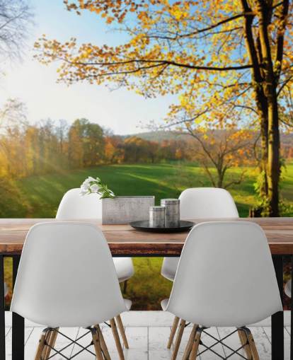 mural de papel de parede de floresta verde e laranja chamado Autumn Pathways para cozinhas, escritórios e empresas mural de papel de parede de floresta verde e laranja chamado Autumn Pathways para cozinhas, escritórios e empresas