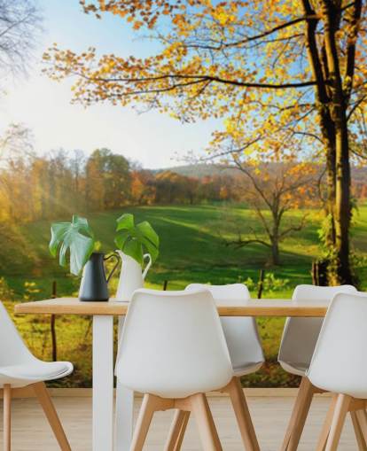 green and orange forest wallpaper mural called Autumn Pathways for kitchens, offices and businesses