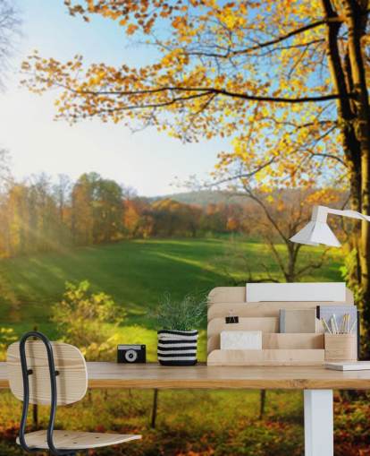 mural de papel pintado de bosque verde y naranja llamado Autumn Pathways para cocinas, oficinas y negocios mural de papel pintado de bosque verde y naranja llamado Autumn Pathways para cocinas, oficinas y negocios