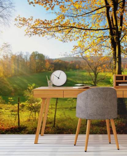 mural de papel pintado de bosque verde y naranja llamado Autumn Pathways para cocinas, oficinas y negocios