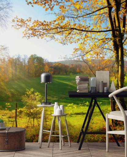 green and orange forest wallpaper mural called Autumn Pathways for kitchens, offices and businesses