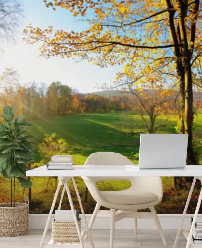 green and orange forest wallpaper mural called Autumn Pathways for kitchens, offices and businesses