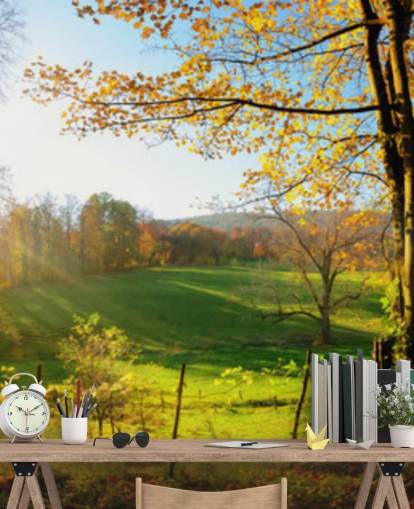 green and orange forest wallpaper mural called Autumn Pathways for kitchens, offices and businesses