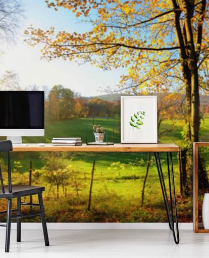 mural de papel de parede de floresta verde e laranja chamado Autumn Pathways para cozinhas, escritórios e empresas