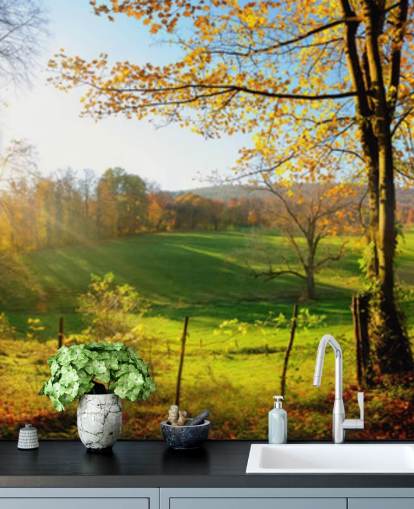 mural de papel pintado de bosque verde y naranja llamado Autumn Pathways para cocinas, oficinas y negocios