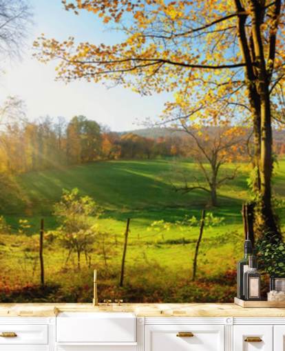 green and orange forest wallpaper mural called Autumn Pathways for kitchens, offices and businesses