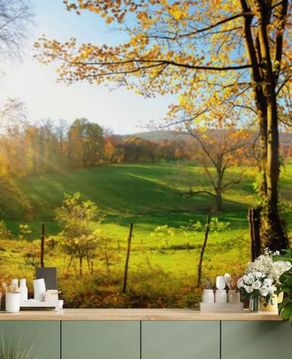 green and orange forest wallpaper mural called Autumn Pathways for kitchens, offices and businesses