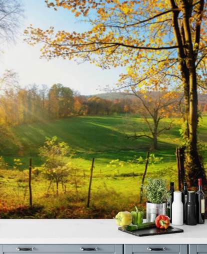 green and orange forest wallpaper mural called Autumn Pathways for kitchens, offices and businesses