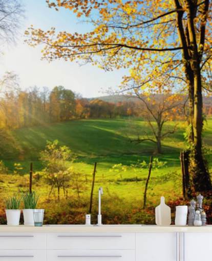 grüne und orangefarbene Waldtapete namens Autumn Pathways für Küchen, Büros und Unternehmen