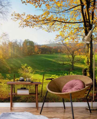 papier peint mural de forêt verte et orange appelé Autumn Pathways pour les cuisines, les bureaux et les entreprises