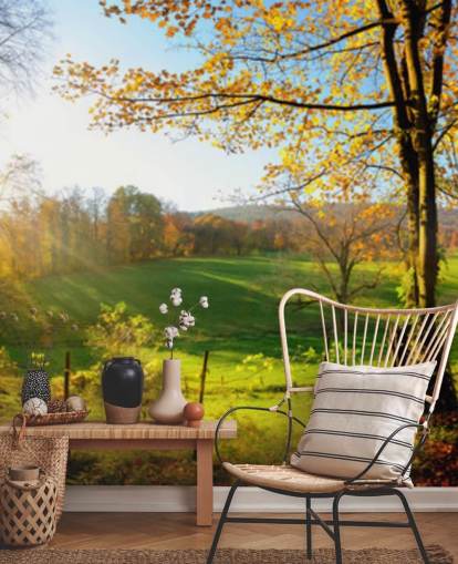 green and orange forest wallpaper mural called Autumn Pathways for kitchens, offices and businesses green and orange forest wallpaper mural called Autumn Pathways for kitchens, offices and businesses