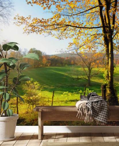 carta da parati murale con foresta verde e arancione chiamata Autumn Pathways per cucine, uffici e aziende carta da parati murale con foresta verde e arancione chiamata Autumn Pathways per cucine, uffici e aziende