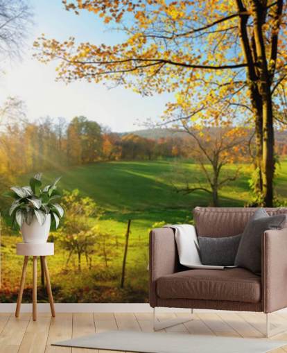 carta da parati murale con foresta verde e arancione chiamata Autumn Pathways per cucine, uffici e aziende