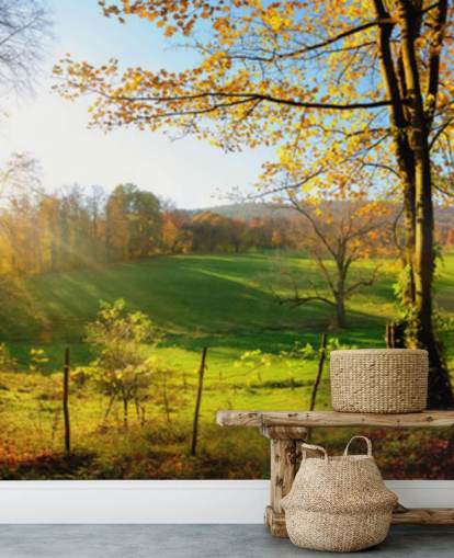 green and orange forest wallpaper mural called Autumn Pathways for kitchens, offices and businesses