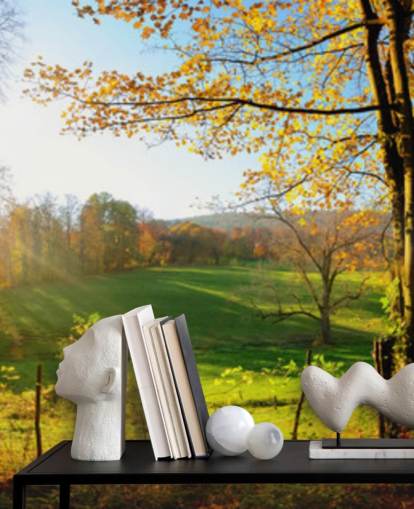 carta da parati murale con foresta verde e arancione chiamata Autumn Pathways per cucine, uffici e aziende