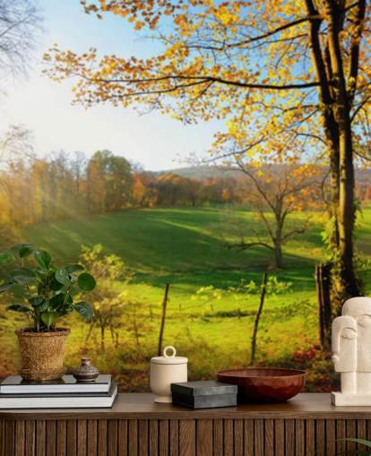 green and orange forest wallpaper mural called Autumn Pathways for kitchens, offices and businesses