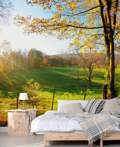 green and orange forest wallpaper mural called Autumn Pathways for kitchens, offices and businesses green and orange forest wallpaper mural called Autumn Pathways for kitchens, offices and businesses