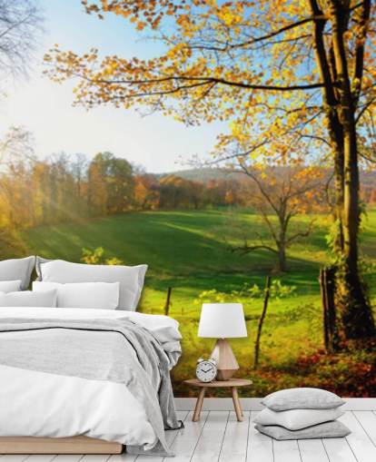 green and orange forest wallpaper mural called Autumn Pathways for kitchens, offices and businesses green and orange forest wallpaper mural called Autumn Pathways for kitchens, offices and businesses