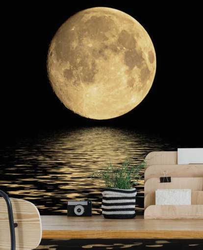 Golden Moon Reflecting on Ocean Waves Mural