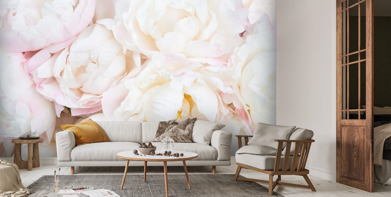 Peony Clouds Wall Mural | Wallsauce AU