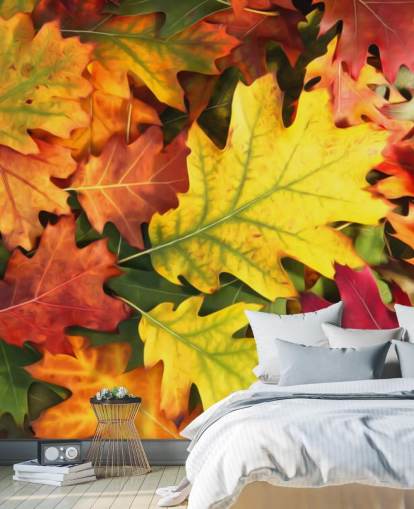 papier peint mural à feuilles personnalisables vert et orange appelé Colourful Autumn Oak Leaves papier peint mural à feuilles personnalisables vert et orange appelé Colourful Autumn Oak Leaves