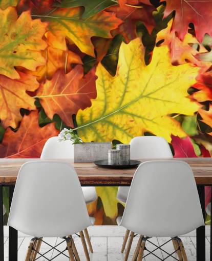 green and orange customisable leaf wallpaper mural called Colourful Autumn Oak Leaves