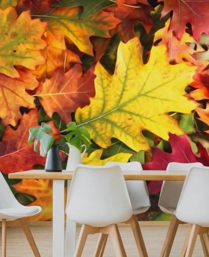green and orange customisable leaf wallpaper mural called Colourful Autumn Oak Leaves