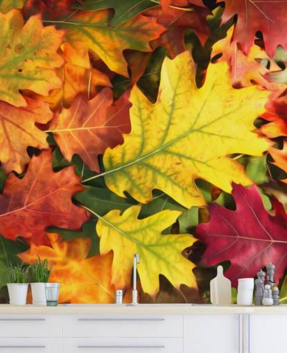 mural de papel pintado con hojas personalizables de color verde y naranja llamado Colourful Autumn Oak Leaves