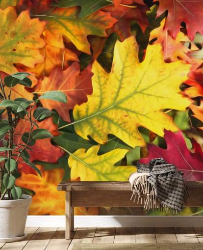 mural de papel pintado con hojas personalizables de color verde y naranja llamado Colourful Autumn Oak Leaves