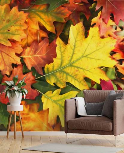 papier peint mural à feuilles personnalisables vert et orange appelé Colourful Autumn Oak Leaves papier peint mural à feuilles personnalisables vert et orange appelé Colourful Autumn Oak Leaves