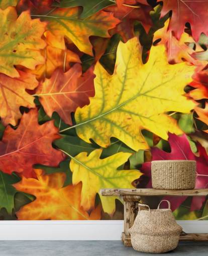 green and orange customisable leaf wallpaper mural called Colourful Autumn Oak Leaves