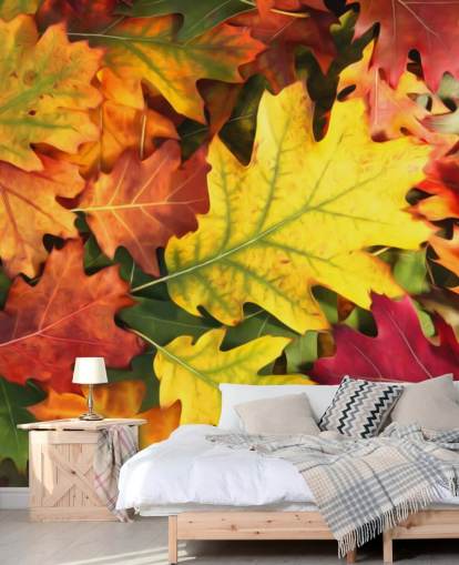 mural de papel pintado con hojas personalizables de color verde y naranja llamado Colourful Autumn Oak Leaves
