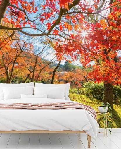 Red Autumn Leafed Trees Wallpaper Red Autumn Leafed Trees Wallpaper