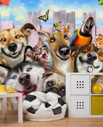 Fondo de pantalla para selfies de mascotas lindas