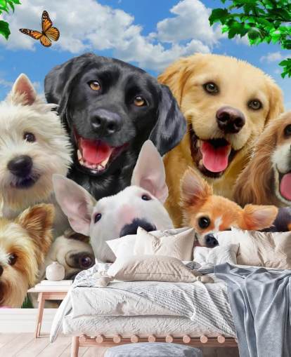 custom dogs wallpaper mural called Dogs Selfie by Howard Robinson for a kid's bedroom, nursery or playroom custom dogs wallpaper mural called Dogs Selfie by Howard Robinson for a kid's bedroom, nursery or playroom