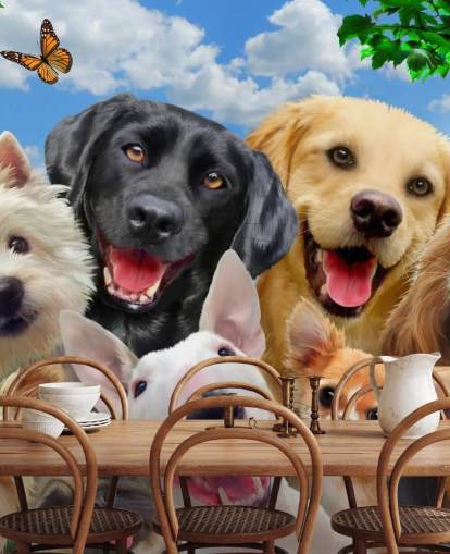 mural de papel pintado personalizado para perros llamado Dogs Selfie de Howard Robinson para el dormitorio de un niño, guardería o sala de juegos