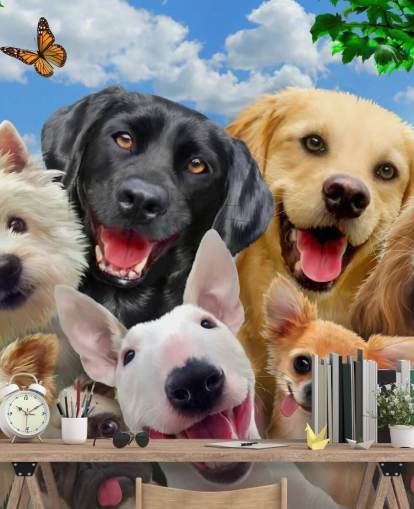 mural de papel de parede personalizado para cães chamado Dogs Selfie de Howard Robinson para um quarto infantil, berçário ou sala de jogos