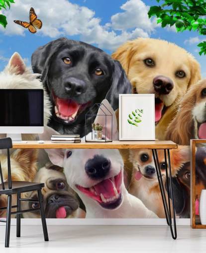 op maat gemaakte hondenbehangmuurschildering genaamd Dogs Selfie van Howard Robinson voor een kinderkamer, kinderkamer of speelkamer op maat gemaakte hondenbehangmuurschildering genaamd Dogs Selfie van Howard Robinson voor een kinderkamer, kinderkamer of speelkamer
