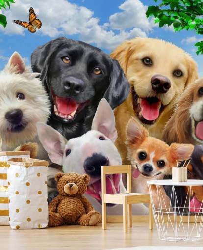 individuelle Hundetapete namens Dogs Selfie von Howard Robinson für ein Kinderzimmer, Kinderzimmer oder Spielzimmer individuelle Hundetapete namens Dogs Selfie von Howard Robinson für ein Kinderzimmer, Kinderzimmer oder Spielzimmer
