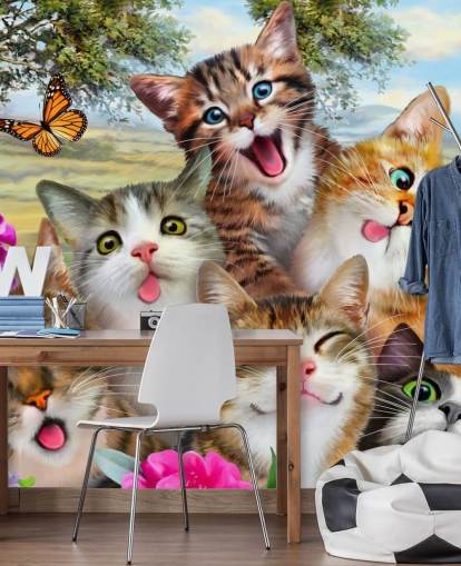 Søt og morsomt Cat Selfie Bakgrunn Søt og morsomt Cat Selfie Bakgrunn