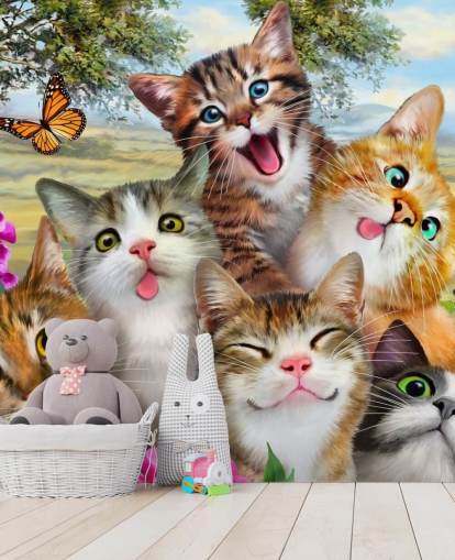 Cute and Funny Cat Selfie Wallpaper