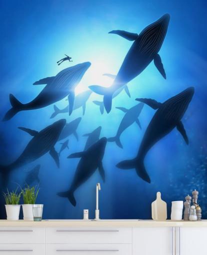 Underneath of Whales Wall Mural