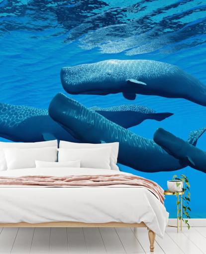 Sperm Whale Wallpaper