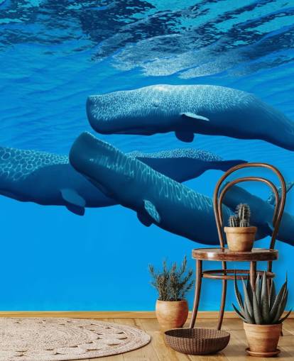 Sperm Whale Family Whale Wallpaper Sperm Whale Family Whale Wallpaper