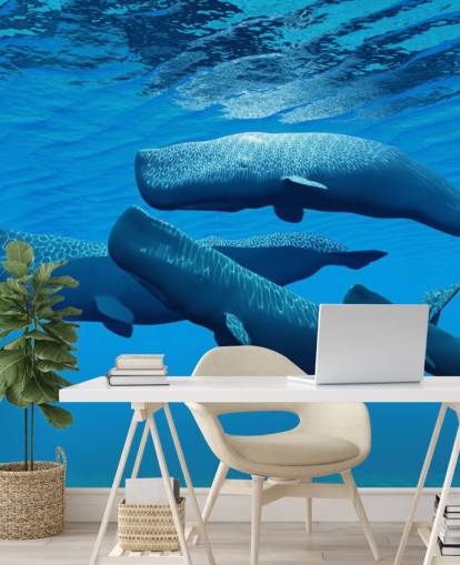 Sperm Whale Baggrund Sperm Whale Baggrund